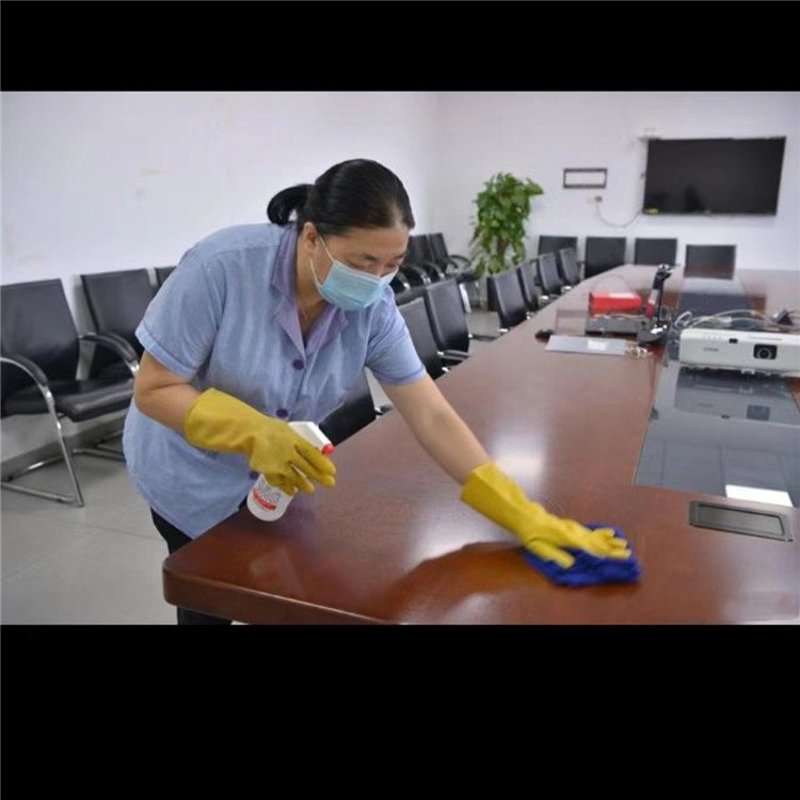 绿意盎然:长春清洁公司的环保新篇章