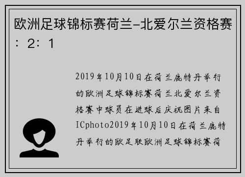 欧洲足球锦标赛荷兰-北爱尔兰资格赛:2:1